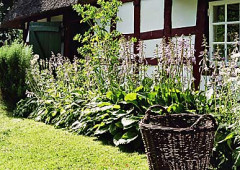 Bauerngarten Chalupka